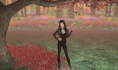 The Hook and Emma Story: Part Two