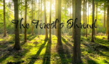 The Forest's Shroud