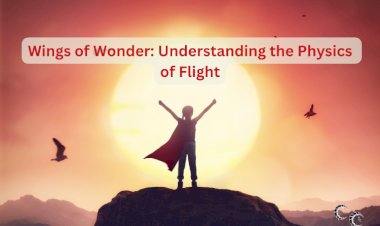 Wings of Wonder: Understanding the Physics of Flight