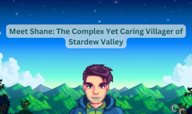 Meet Shane: The Complex Yet Caring Villager of Stardew Valley