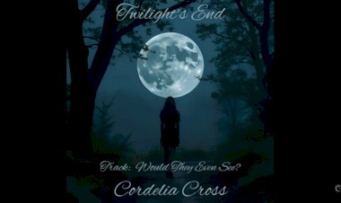 Would They Even See By Cordelia Cross