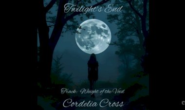 Weight of the Void by Cordelia Cross