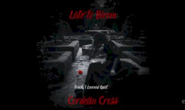 I Learned Quiet lyrics by Cordelia Cross