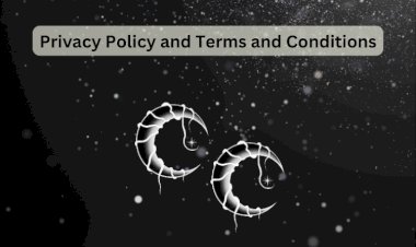 Privacy Policy and Terms of Conditions