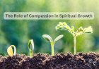 The Role of Compassion in Spiritual Growth