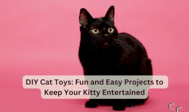 DIY Cat Toys: Fun and Easy Projects to Keep Your Kitty Entertained