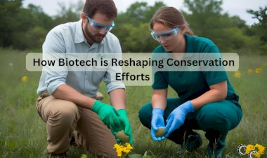 How Biotech is Reshaping Conservation Efforts