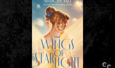 The Wings of Starlight by Allison Saft
