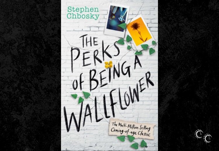 Perks of Being A Wallflower by Stephen Chboksy